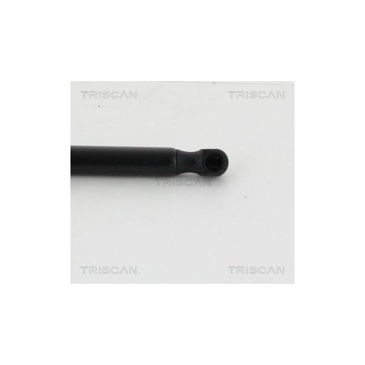 Dujinė spyruoklė, bagažinė TRISCAN 8710 16262