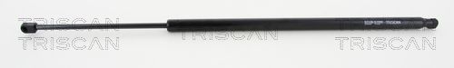 Dujinė spyruoklė, bagažinė TRISCAN 8710 16266