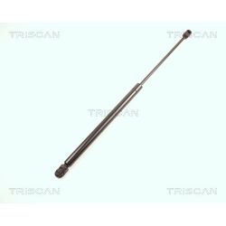 Dujinė spyruoklė, bagažinė TRISCAN 8710 17205