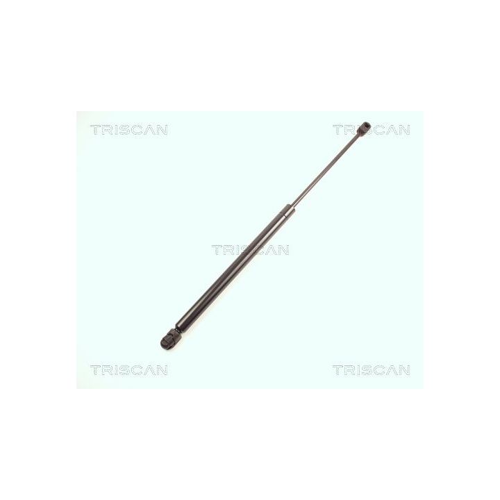 Dujinė spyruoklė, bagažinė TRISCAN 8710 17205