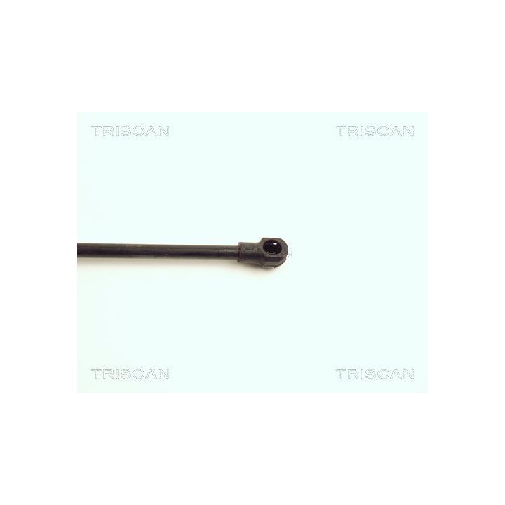 Dujinė spyruoklė, bagažinė TRISCAN 8710 17210