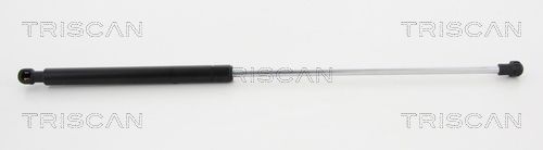 Dujinė spyruoklė, bagažinė TRISCAN 8710 17217