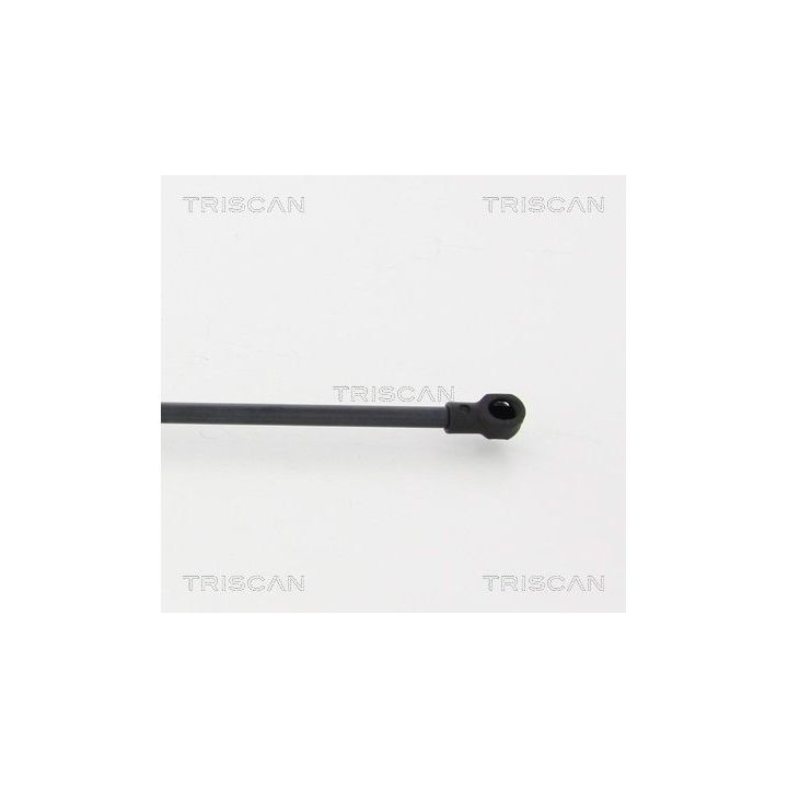 Dujinė spyruoklė, bagažinė TRISCAN 8710 17219