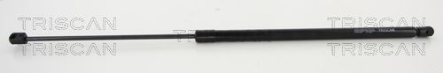 Dujinė spyruoklė, bagažinė TRISCAN 8710 17220