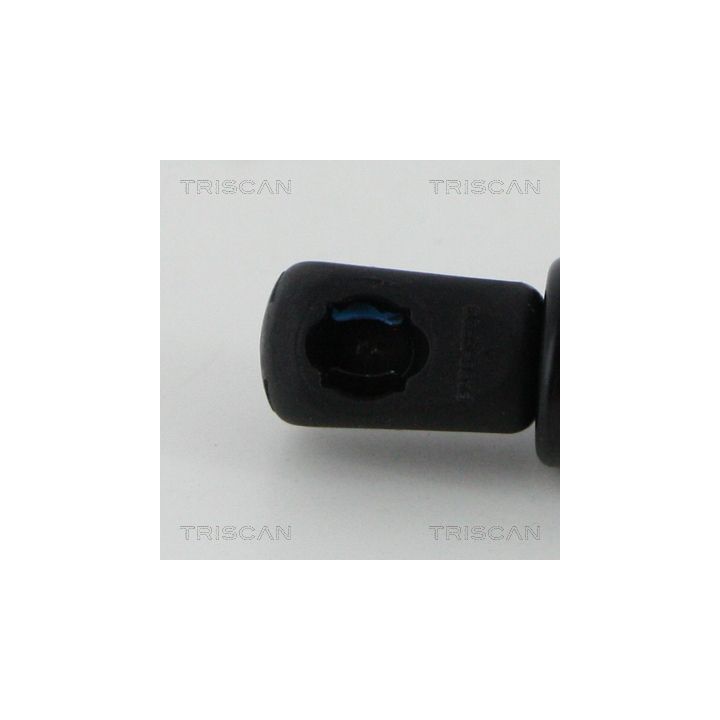 Dujinė spyruoklė, bagažinė TRISCAN 8710 17222
