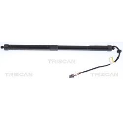 Dujinė spyruoklė, bagažinė TRISCAN 8710 17301