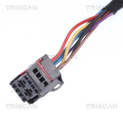 Dujinė spyruoklė, bagažinė TRISCAN 8710 17301