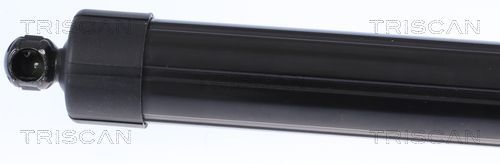 Dujinė spyruoklė, bagažinė TRISCAN 8710 17301