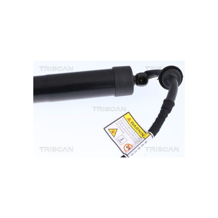 Dujinė spyruoklė, bagažinė TRISCAN 8710 17301