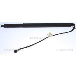 Dujinė spyruoklė, bagažinė TRISCAN 8710 17302