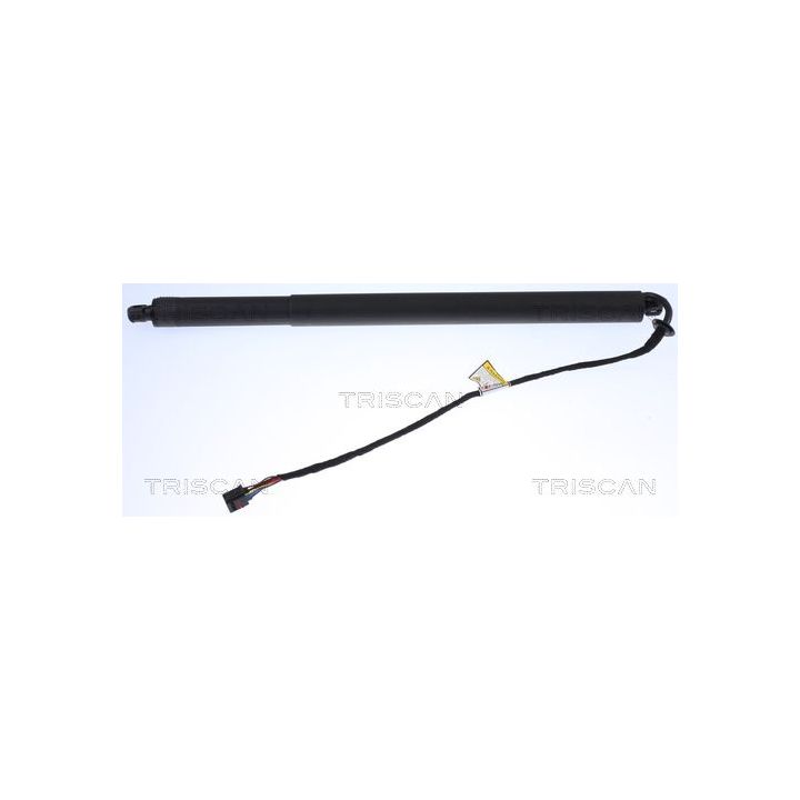 Dujinė spyruoklė, bagažinė TRISCAN 8710 17302