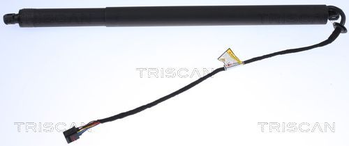 Dujinė spyruoklė, bagažinė TRISCAN 8710 17302