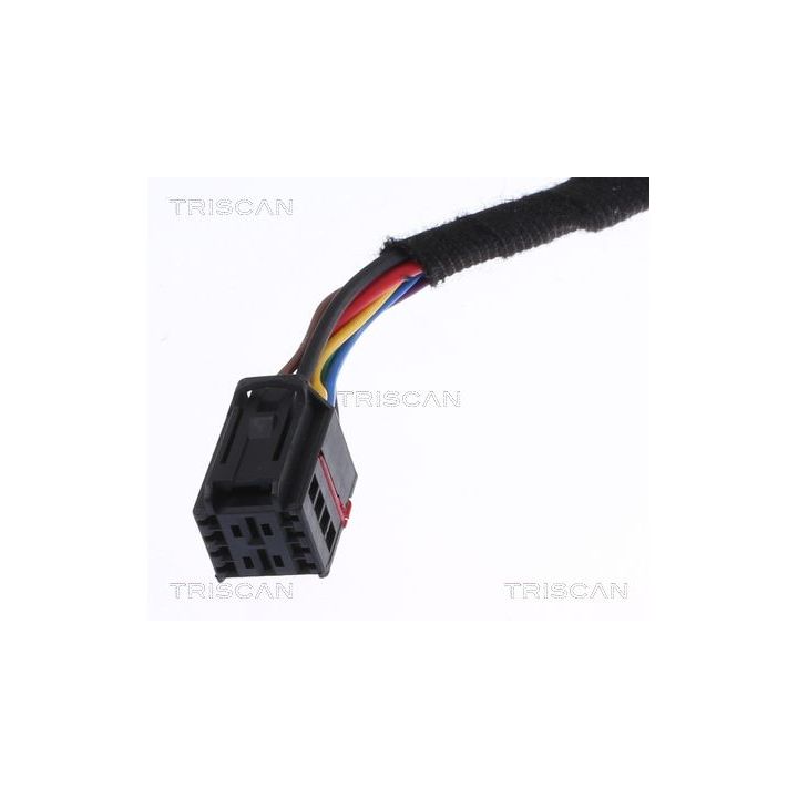 Dujinė spyruoklė, bagažinė TRISCAN 8710 17302