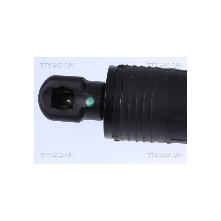 Dujinė spyruoklė, bagažinė TRISCAN 8710 17302