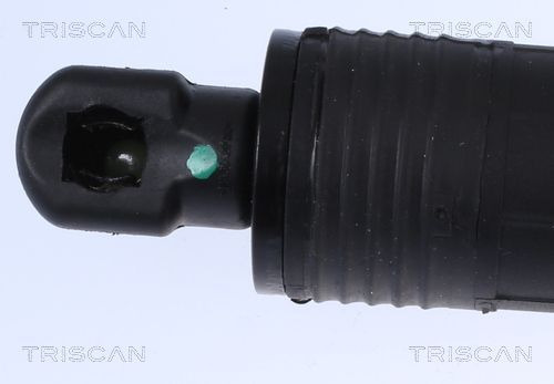 Dujinė spyruoklė, bagažinė TRISCAN 8710 17302