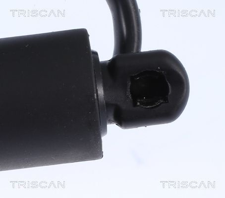 Dujinė spyruoklė, bagažinė TRISCAN 8710 17302