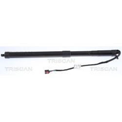 Dujinė spyruoklė, bagažinė TRISCAN 8710 17303