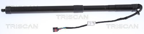 Dujinė spyruoklė, bagažinė TRISCAN 8710 17303