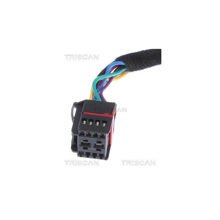 Dujinė spyruoklė, bagažinė TRISCAN 8710 17303