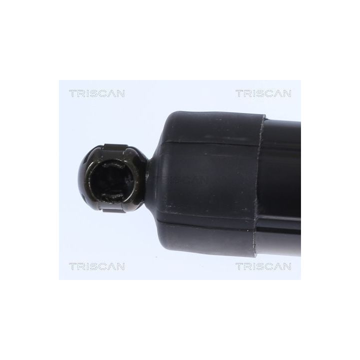 Dujinė spyruoklė, bagažinė TRISCAN 8710 17303