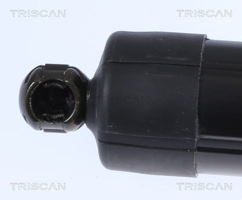 Dujinė spyruoklė, bagažinė TRISCAN 8710 17303