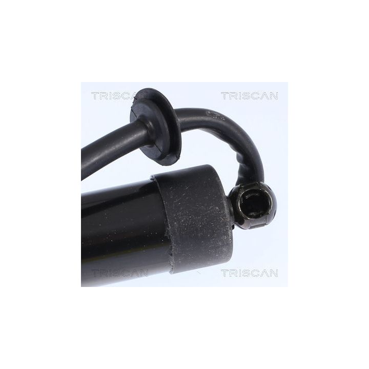 Dujinė spyruoklė, bagažinė TRISCAN 8710 17303