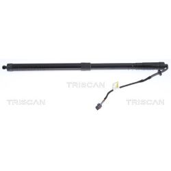 Dujinė spyruoklė, bagažinė TRISCAN 8710 17304