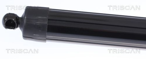 Dujinė spyruoklė, bagažinė TRISCAN 8710 17304