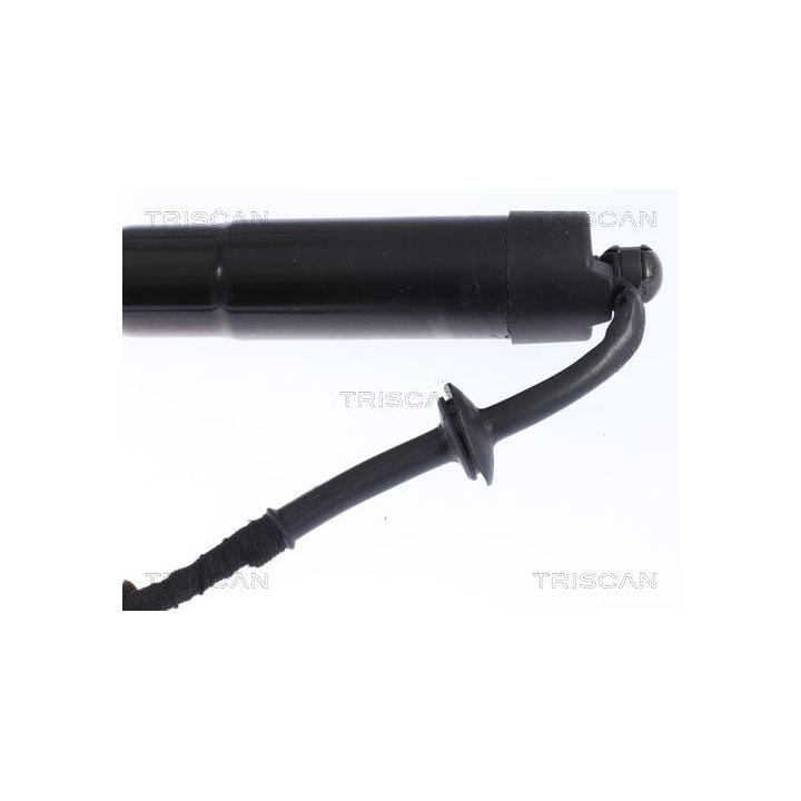 Dujinė spyruoklė, bagažinė TRISCAN 8710 17304