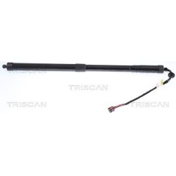 Dujinė spyruoklė, bagažinė TRISCAN 8710 17305