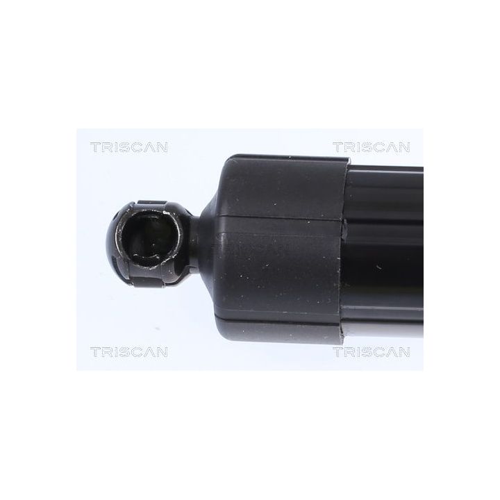 Dujinė spyruoklė, bagažinė TRISCAN 8710 17305