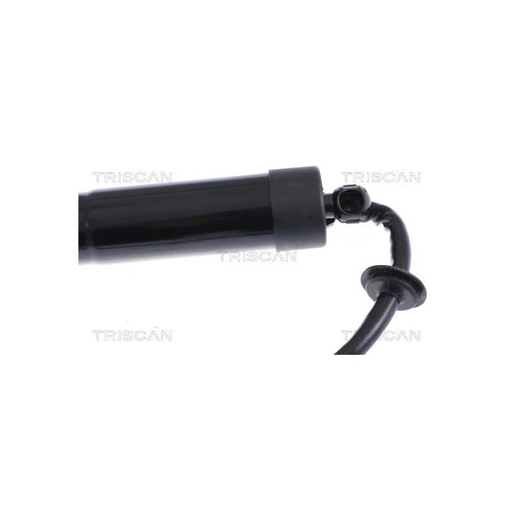 Dujinė spyruoklė, bagažinė TRISCAN 8710 17305