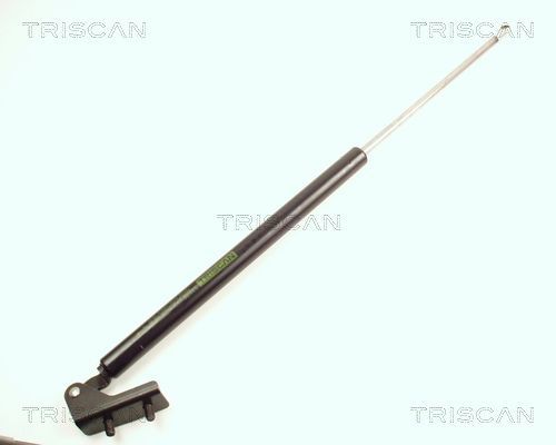 Dujinė spyruoklė, bagažinė TRISCAN 8710 18202