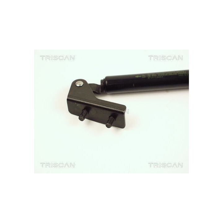 Dujinė spyruoklė, bagažinė TRISCAN 8710 18202