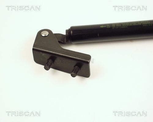 Dujinė spyruoklė, bagažinė TRISCAN 8710 18202