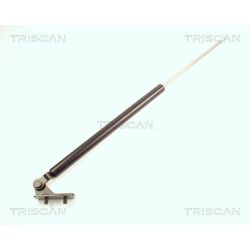 Dujinė spyruoklė, bagažinė TRISCAN 8710 18203