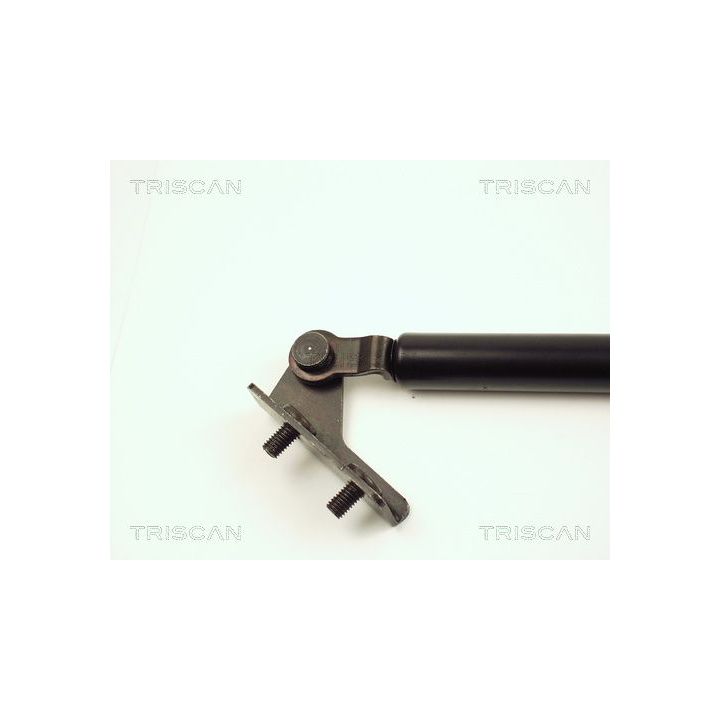 Dujinė spyruoklė, bagažinė TRISCAN 8710 18203