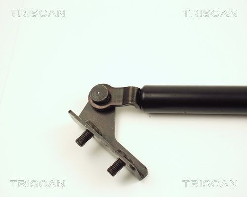 Dujinė spyruoklė, bagažinė TRISCAN 8710 18203