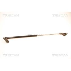 Dujinė spyruoklė, bagažinė TRISCAN 8710 18204