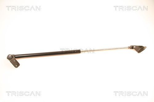 Dujinė spyruoklė, bagažinė TRISCAN 8710 18204