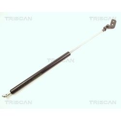 Dujinė spyruoklė, bagažinė TRISCAN 8710 18206