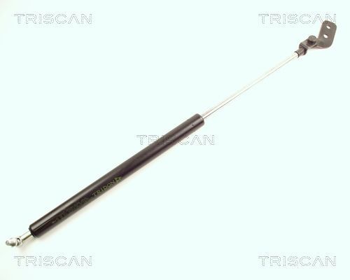 Dujinė spyruoklė, bagažinė TRISCAN 8710 18206