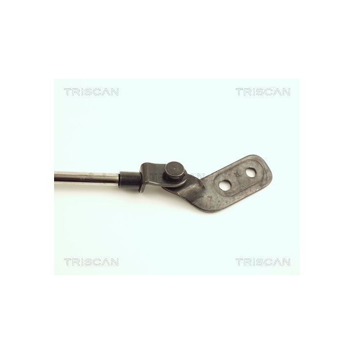 Dujinė spyruoklė, bagažinė TRISCAN 8710 18206