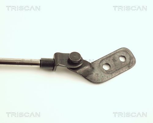 Dujinė spyruoklė, bagažinė TRISCAN 8710 18206