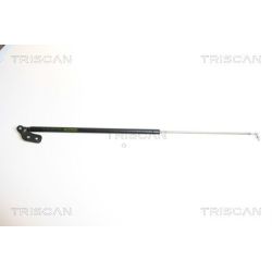 Dujinė spyruoklė, bagažinė TRISCAN 8710 18210