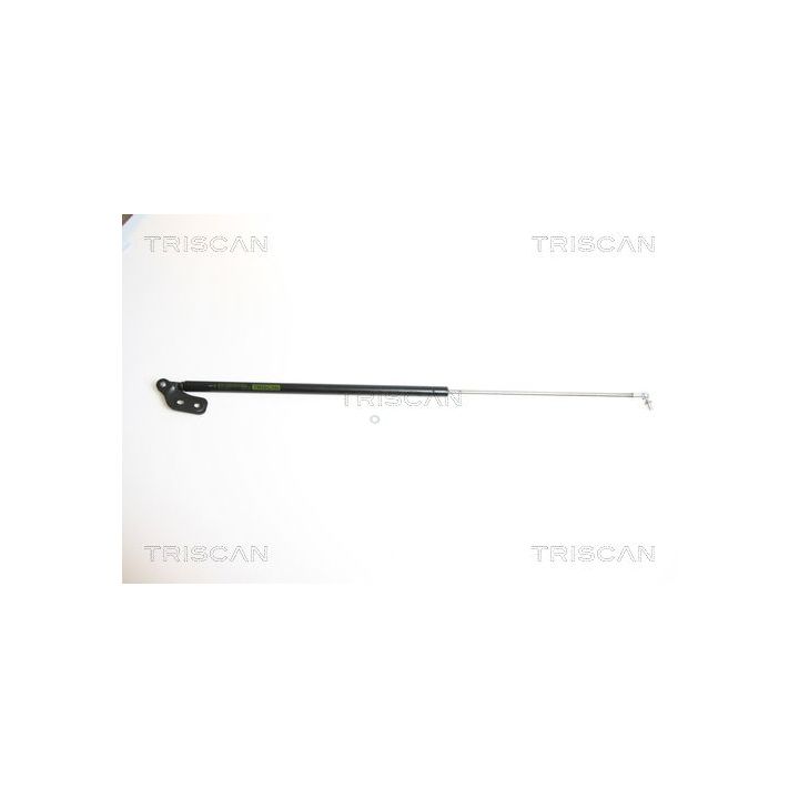 Dujinė spyruoklė, bagažinė TRISCAN 8710 18210