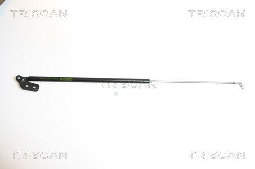 Dujinė spyruoklė, bagažinė TRISCAN 8710 18210