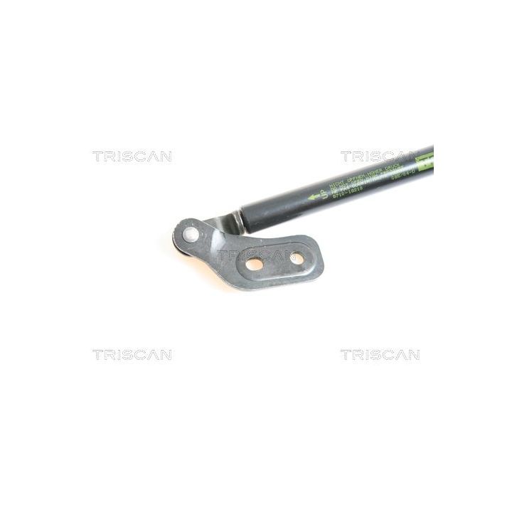 Dujinė spyruoklė, bagažinė TRISCAN 8710 18210