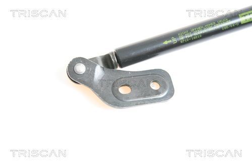 Dujinė spyruoklė, bagažinė TRISCAN 8710 18210