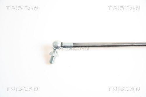 Dujinė spyruoklė, bagažinė TRISCAN 8710 18210